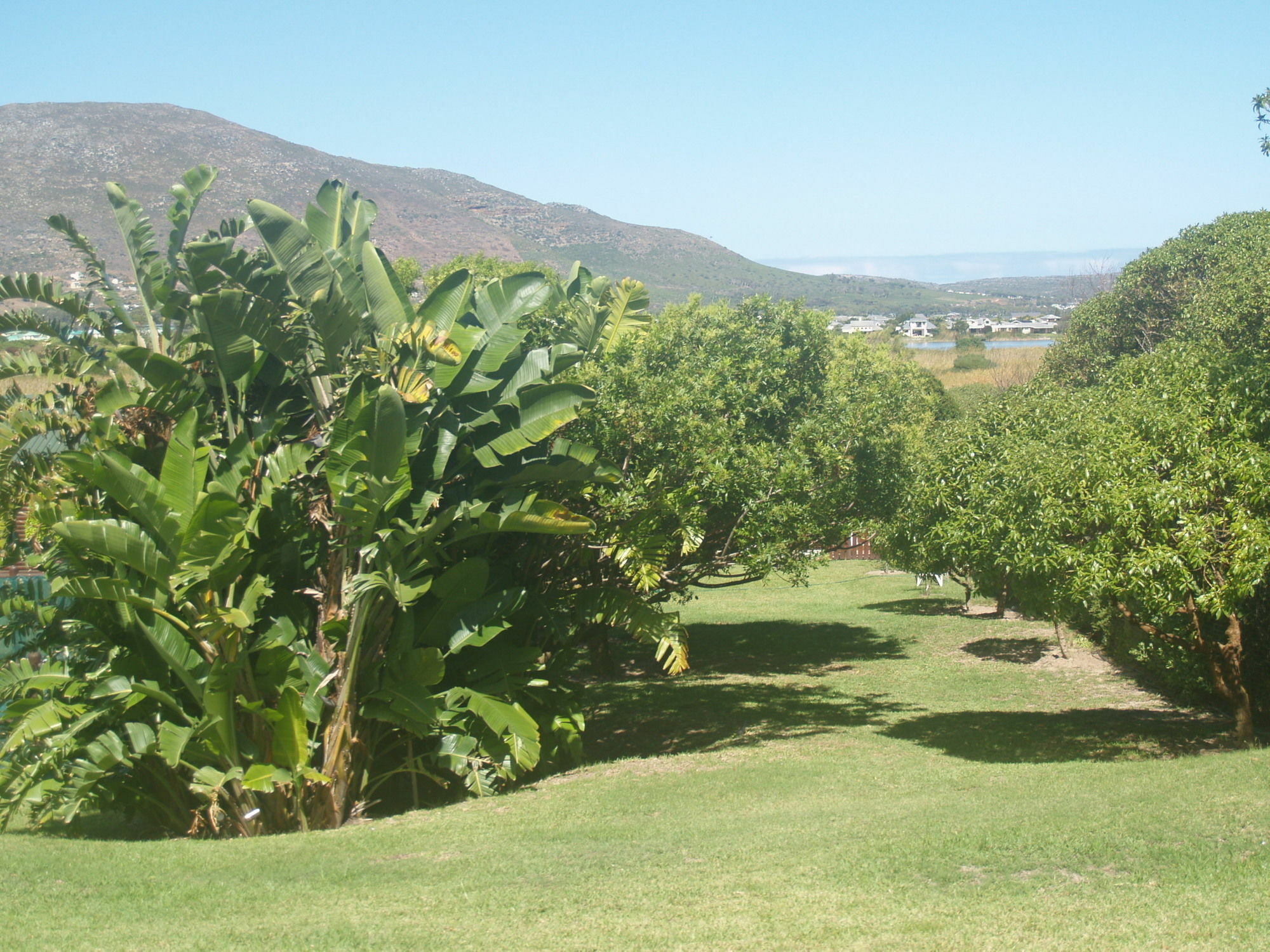 Horizon Cottages Noordhoek Eksteriør bilde